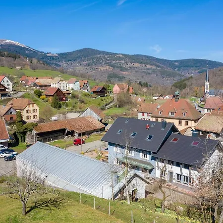 Locations Des 3 Sommets Avec Sauna Et En Alsace Semesterbostad