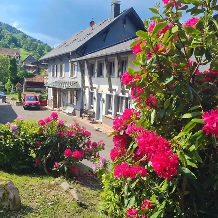 Locations Des 3 Sommets Avec Sauna Et En Alsace * Sondernach