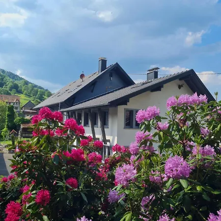 Locations Des 3 Sommets Avec Sauna Et En Alsace Sondernach
