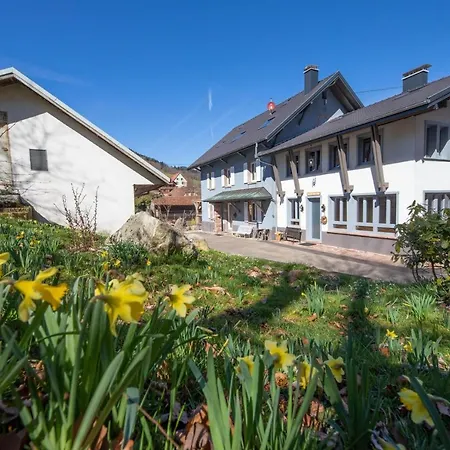 Ferienhaus Locations Des 3 Sommets Avec Sauna Et En Alsace *