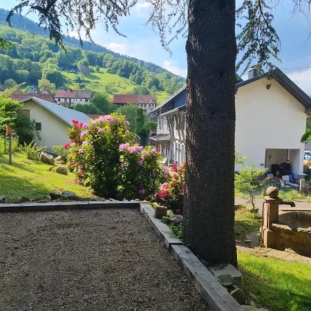 Locations Des 3 Sommets Avec Sauna Et En Alsace * Sondernach