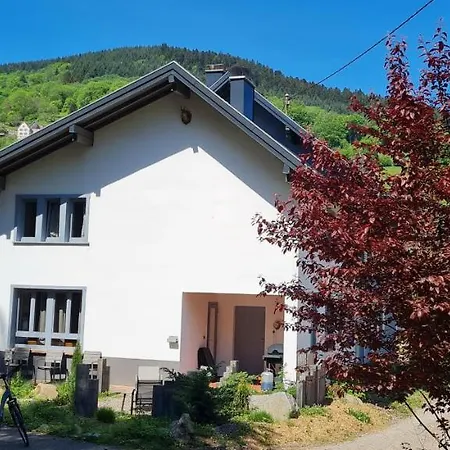 Locations Des 3 Sommets Avec Sauna Et En Alsace