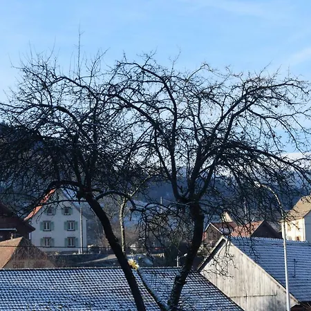 Locations Des 3 Sommets Avec Sauna Et En Alsace Dom wakacyjny