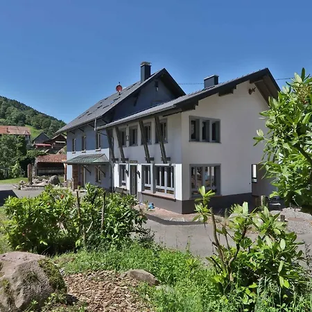 Locations Des 3 Sommets Avec Sauna Et En Alsace *