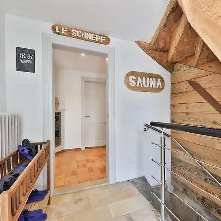 Semesterbostad Locations Des 3 Sommets Avec Sauna Et En Alsace