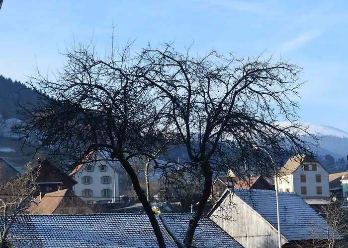 Locations Des 3 Sommets Avec Sauna Et En Alsace Dom wakacyjny